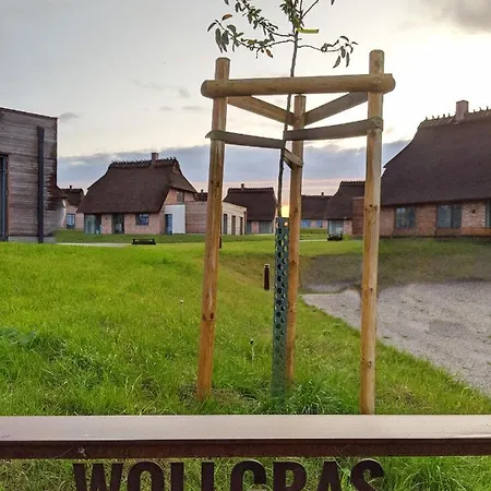 Holiday home Reetdorf Geltinger Birk Malerhaus Wollgras