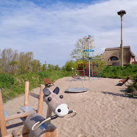 Reetdorf Geltinger Birk Malerhaus Wollgras Nyaraló