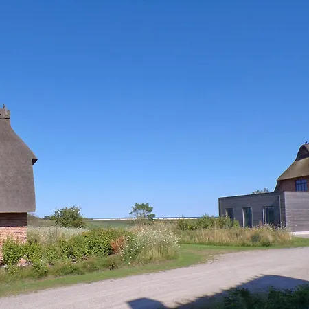 Reetdorf Geltinger Birk Malerhaus Wollgras *