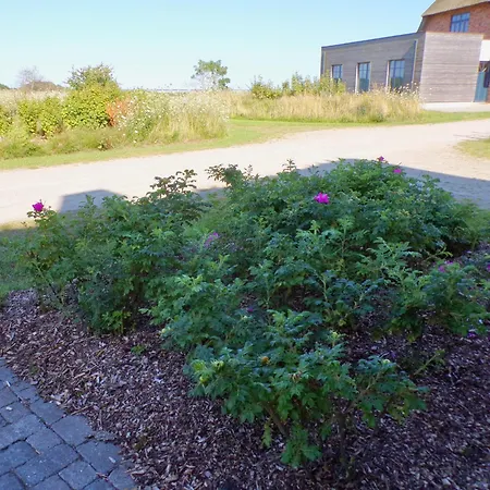 Reetdorf Geltinger Birk Malerhaus Wollgras * Nieby (Nieby, Schleswig-Flensburg)